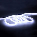 Osper Rezistentă la apă Bandă Neon Flex LED Alimentare 220V cu Lumină Alb Rece pe Metru