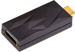 iFi Audio Isilencer Plus USB-C To USB-C DAC iFi Audio Isilencer Plus USB-C To USB-C DAC
