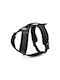 Record Dog Harness Black X-Small 3111.1N