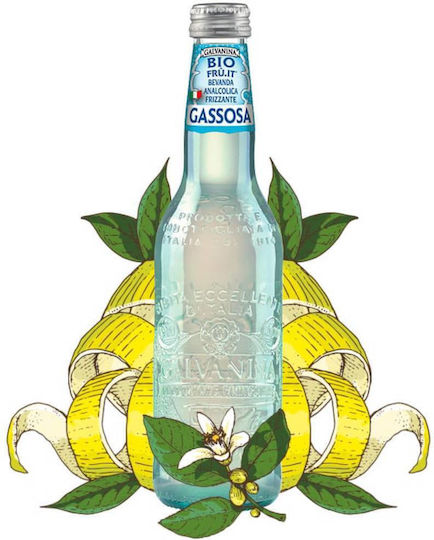 Galvanina Γκαζόζα με Ανθρακικό, Βιολογική 848 355ml