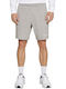 Champion Men's Shorts Gray