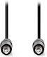 Nedis 3.5mm Jack Cable Male - 3.5mm Jack Male Black 5m CAGL22000BK50