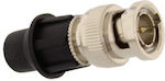 BNC male Connector 1pc