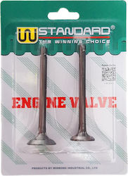 W Standard Motorcycle Intake & Exhaust Valves Yamaha T 50