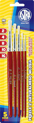 Astra Natural Bristle Brush Set 5 Pcs No. 0457