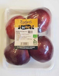 Μήλα Red Delicious Βιολογικά Εισαγωγής (ελάχιστο βάρος 1.1Κg)