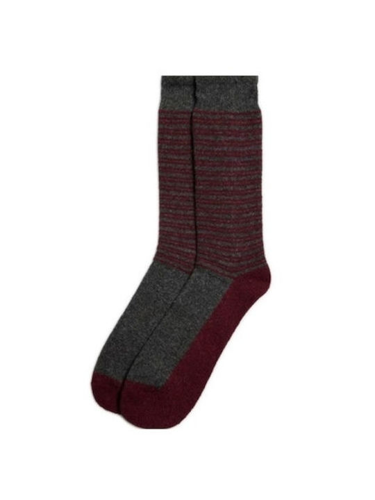 Ysabel Mora Men's Socks Bordeaux