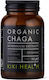 Kiki Health Chaga Extract Organic Powder [50 Γραμμάρια]