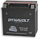 Dynavolt Closed Type Motorcycle Battery YTX14-BS