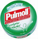 Pulmoll Eucalyptus Menthol Καραμέλες Χωρίς Ζάχαρη Ευκάλυπτος & Μέντα 45gr