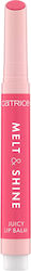 Catrice Cosmetics Melt & Shine Lip Balm 050 Res...