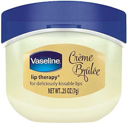 Vaseline Lip Balm Creme Brulee 7gr