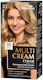 Joanna Multi Cream Color Paint No. 31 Sand Blonde