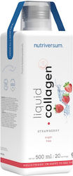 Nutriversum Flüssiges Kollagen 10000mg 500ml Erdbeere