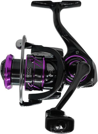 Oceanic Mystic LT Fishing Reel for Eging, Spinning and English 2500S