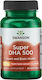 Swanson Super Dha 500 | From Food-grade Calamari [30 Softgels]