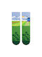 Pirin Hill Socks Green