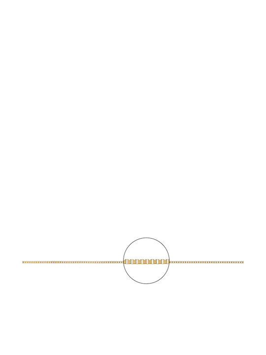 Papoulidis Jewellery Gold Chain Neck 14K Length 45cm