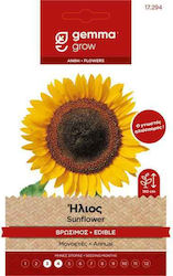 Gemma Seeds Sunflower 1gr