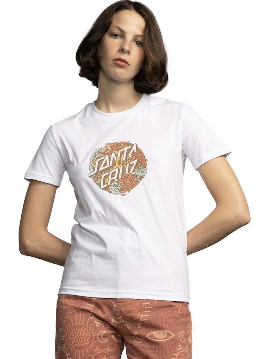 Santa Cruz