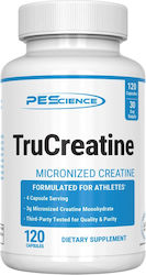 PEScience Trucreatine Monohydrate Micronized 750mg 120 κάψουλες PEScience Trucreatine Monohydrate Micronized 750mg 120 κάψουλες