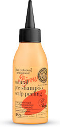 Natura Siberica Hair Lotion 115ml Natura Siberica Hair Lotion 115ml