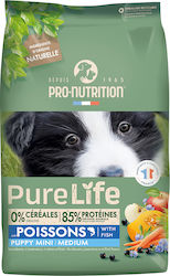 Flatazor Pure Life Flatazor Pure Life