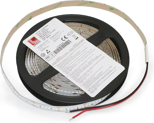 Adeleq LED-Streifen 24V Blau Licht 5m Typ SMD2835