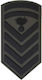 All About Army Σήμα Σωμάτων Ασφαλείας 010587