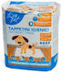 Leopet Dog Floor Diapers 50pcs