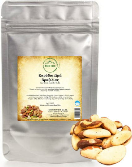 Nostos Pure Καρύδια Βραζιλίας Ωμά Χωρίς Αλάτι 250gr