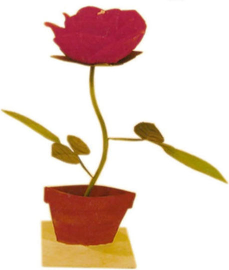 Etoile Aromatice Rose Rose Etoile Aromatice Rose Rose