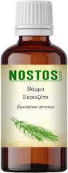 Nostos Pure Tincture Equisetum Arvense 50ml