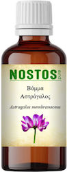 Nostos Pure Tincture Astragalus Membranaceus 100ml