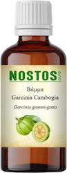 Nostos Pure Tincture Garcinia Cambogia 30ml