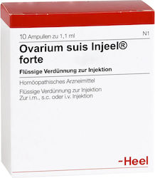 Heel Ovarian 10 x 1.1ml