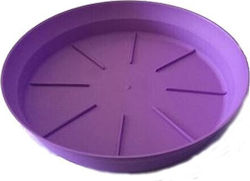 Micplast 74 Plate Pot Purple 26x26cm