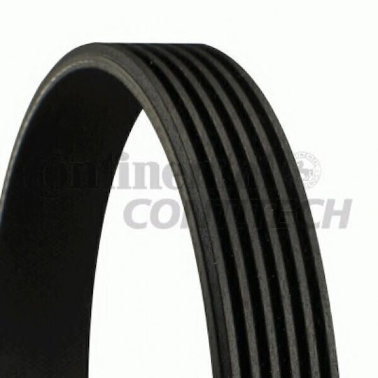 Continental Poly-v für Audi Q7 6PK2523