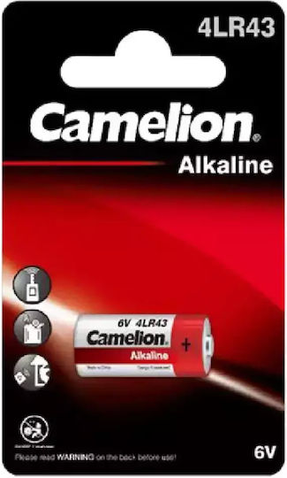 Camelion Plus Αλκαλική Μπαταρία 4LR43 6V 1τμχ