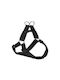 Paw Care Harness Large 25mm 65-100cm Schwarz