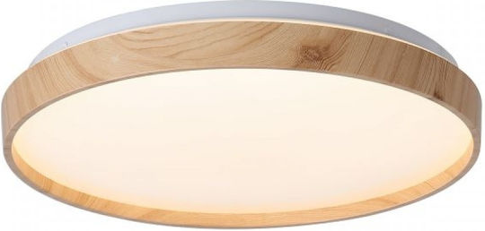 Spot Light Таванно осветление 38бр LED