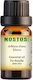 Αιθέριο Έλαιο Έλατο - Fir Needle 100ml