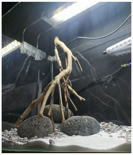 Misirlis Aquarium ATK-350E Acvariu de Pești cu Capacitate de 16lt cu Iluminare, Circulator, Filtru și 34.5x20.5x25cm.