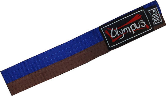 Olympus Sport Martial Arts Belt Blue
