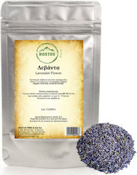 Nostos Pure Λεβάντα 100gr 45
