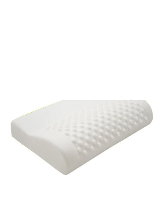 Alpha Foam Elegant Sleep Pillow Memory Foam Ana...
