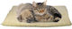 Auto-thermal pet milk 64x49cm