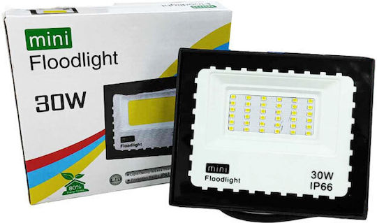 Waterproof LED Floodlight 30W IP67