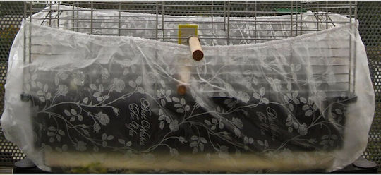 Natural World Bird Cage Cover Medium Transparent