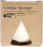 Hydrophil Sponge 1pcs